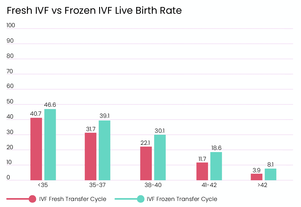 fet-ivf-succes-rate
