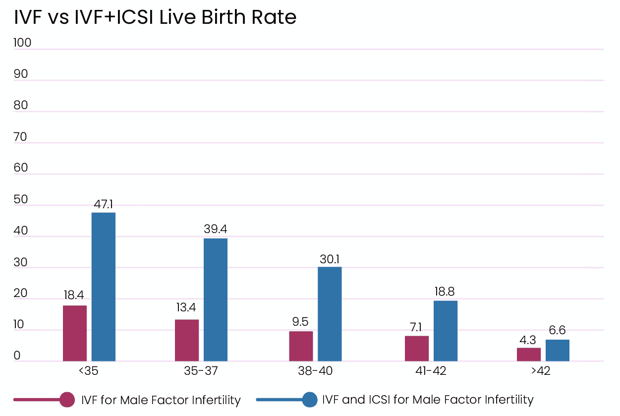 icsi-succes-rate