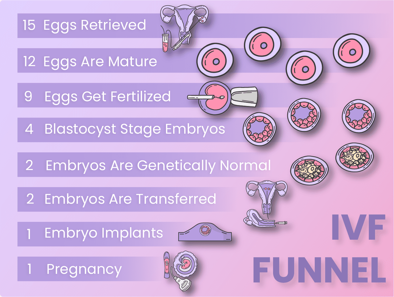 ivf-funnel