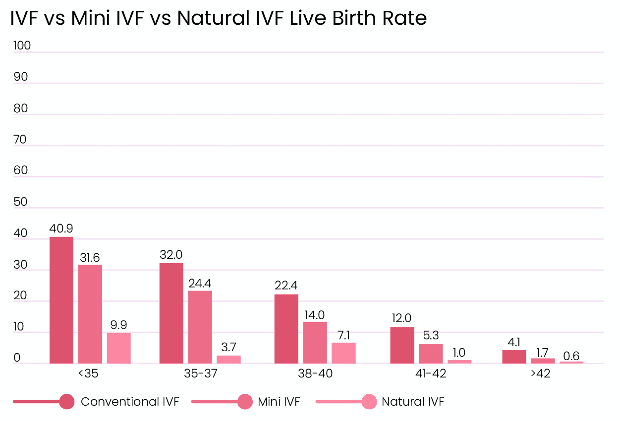 mini-ivf-natural-ivf-succes-rate