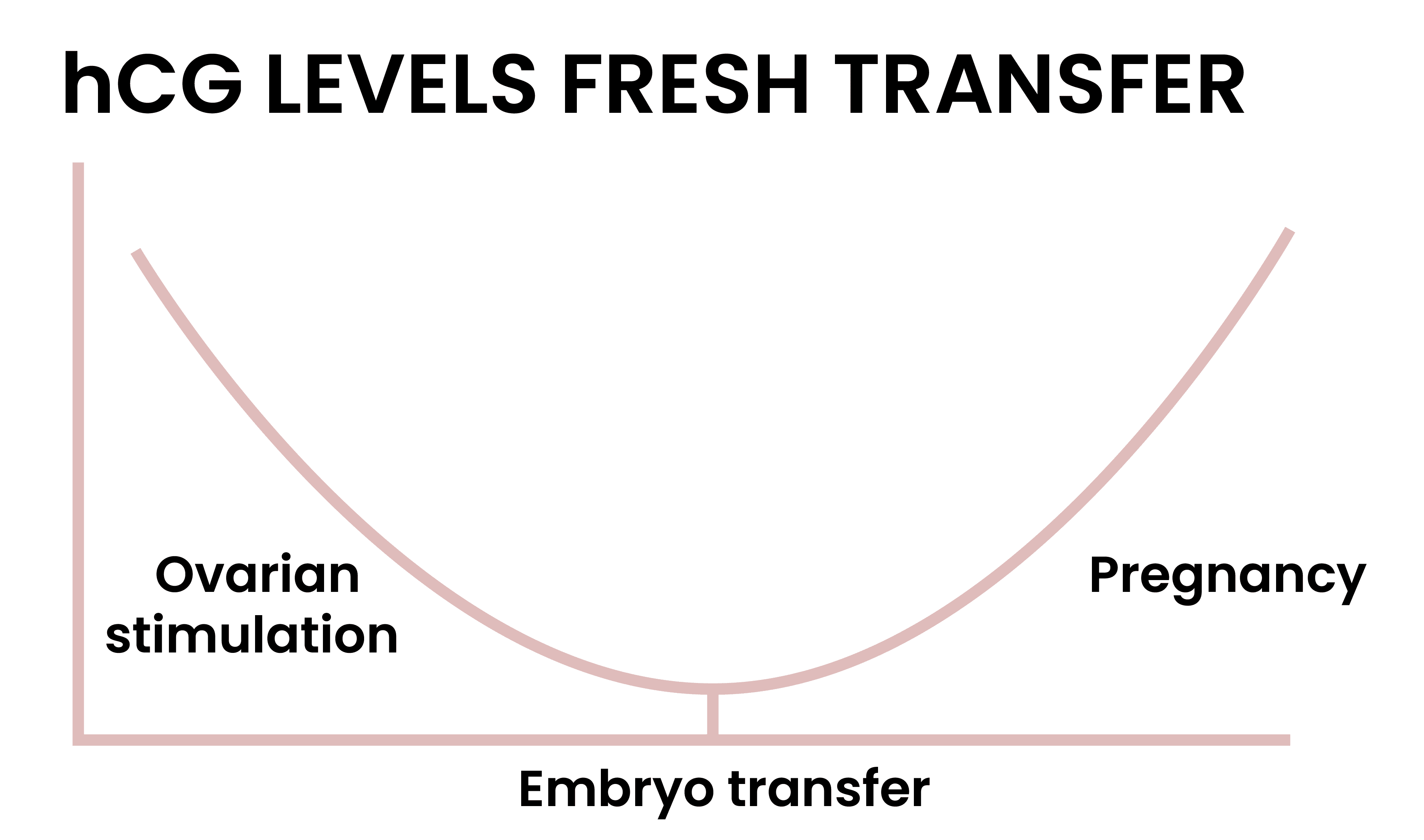 hCG-levels-fresh-transfer